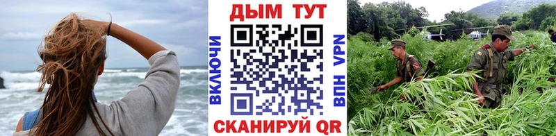 где купить   Артёмовский  Бошки Шишки индика 